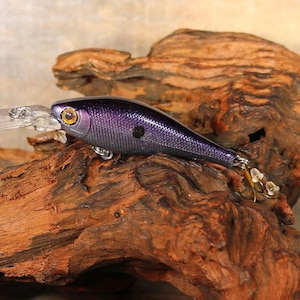 2.5” Flick Bait Walleye & Saugeye Bait ( Purple Bomb )