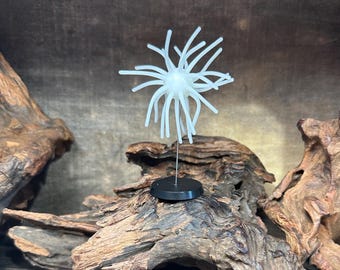 2.5” Fuzzy Urchin (w/-5/8” internal body) ( White )