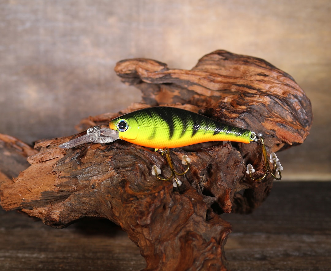 Saugeye Rigs 2.5” Flick Bait Walleye & Saugeye Bait ( Fire Tiger ) - Etsy