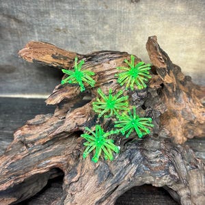May include: Four bright neon green, star-shaped plastic decorations with thin, radiating spokes. Each piece features a central point from which multiple flexible arms extend outward, creating a spiky, circular silhouette resembling a sea anemone.