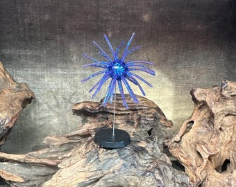 2.5” Fuzzy Urchin (w/-5/8” internal body) ( Junebug )
