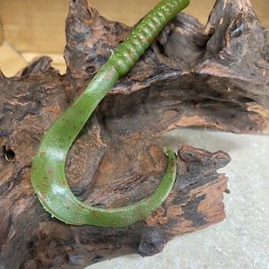 7&quot; Ribbon Tail Worm