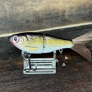 5” Shad Glide Bait ( Gold Shad )