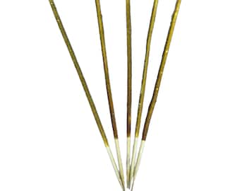 Shrimp sticks BEE POLLEN - shrimp food for freshwater shrimp