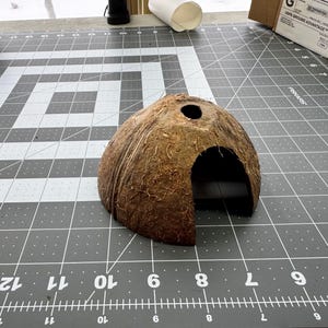 May include: A brown coconut shell hideaway with a round entrance and a small hole on top. The pet habitat is made from a natural coconut shell. The hideaway is on a gray cutting mat with white grid lines.