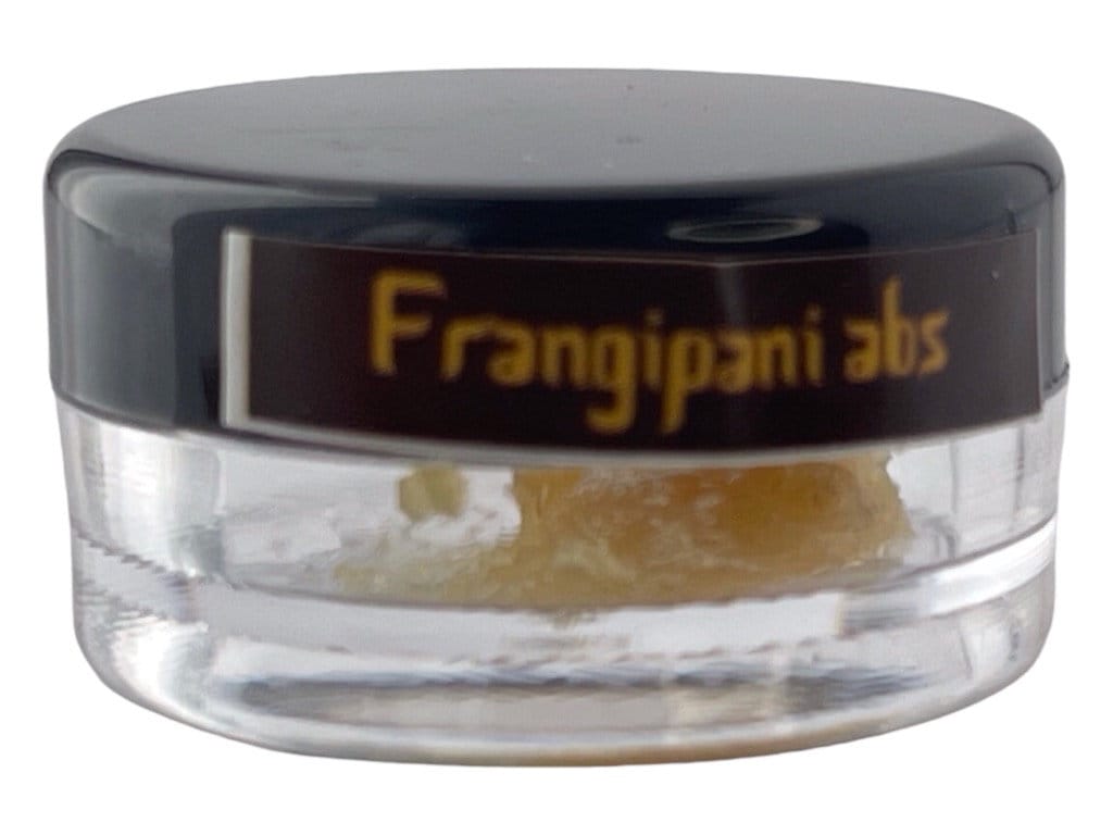 Frangipani Absolute Oil Pure Plumeria Absolute Oil Genuine Frangipani  Absolute Frangipani Essential Oil 