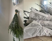 Organic Fresh Eucalyptus Shower Bundle, Spa Aromatherapy, Relaxing Bathroom Scent