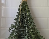 Organic Fresh Eucalyptus Shower Bundle, Spa Aromatherapy, Relaxing Bathroom Scent