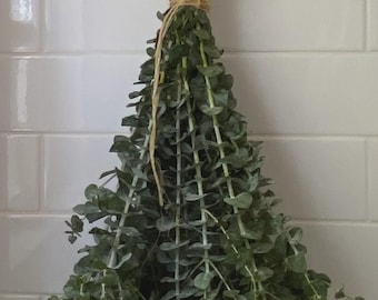 Organic Fresh Eucalyptus Shower Bundle, Spa Aromatherapy, Relaxing Bathroom Scent