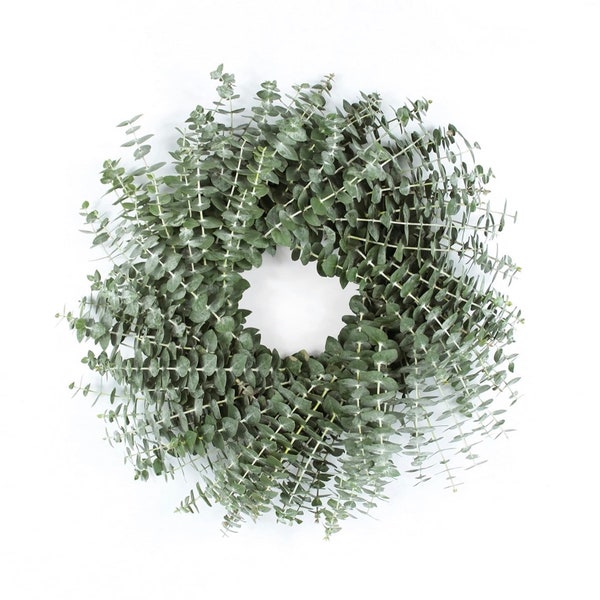 Fresh Eucalyptus Wreath 20"