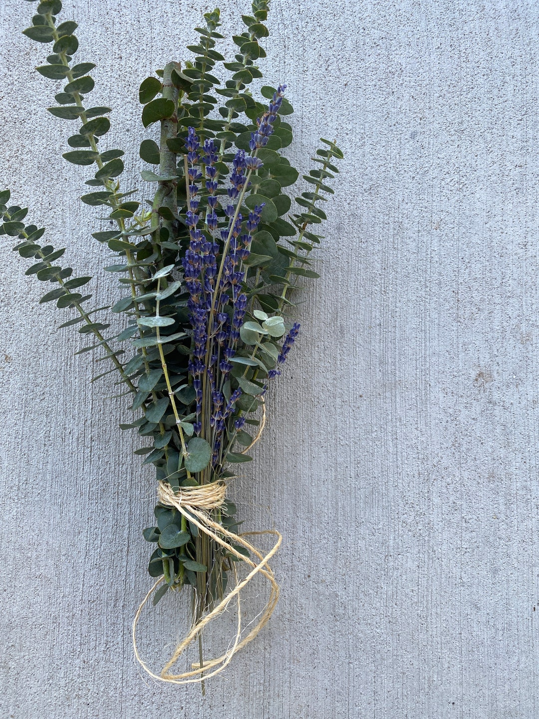 Fresh Lavender Eucalyptus Shower Bundle, Eucalyptus Plant, Eucalyptus
