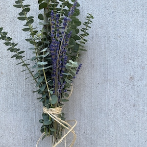 Fresh Lavender Eucalyptus Shower Bundle, Eucalyptus Plant, Eucalyptus Shower