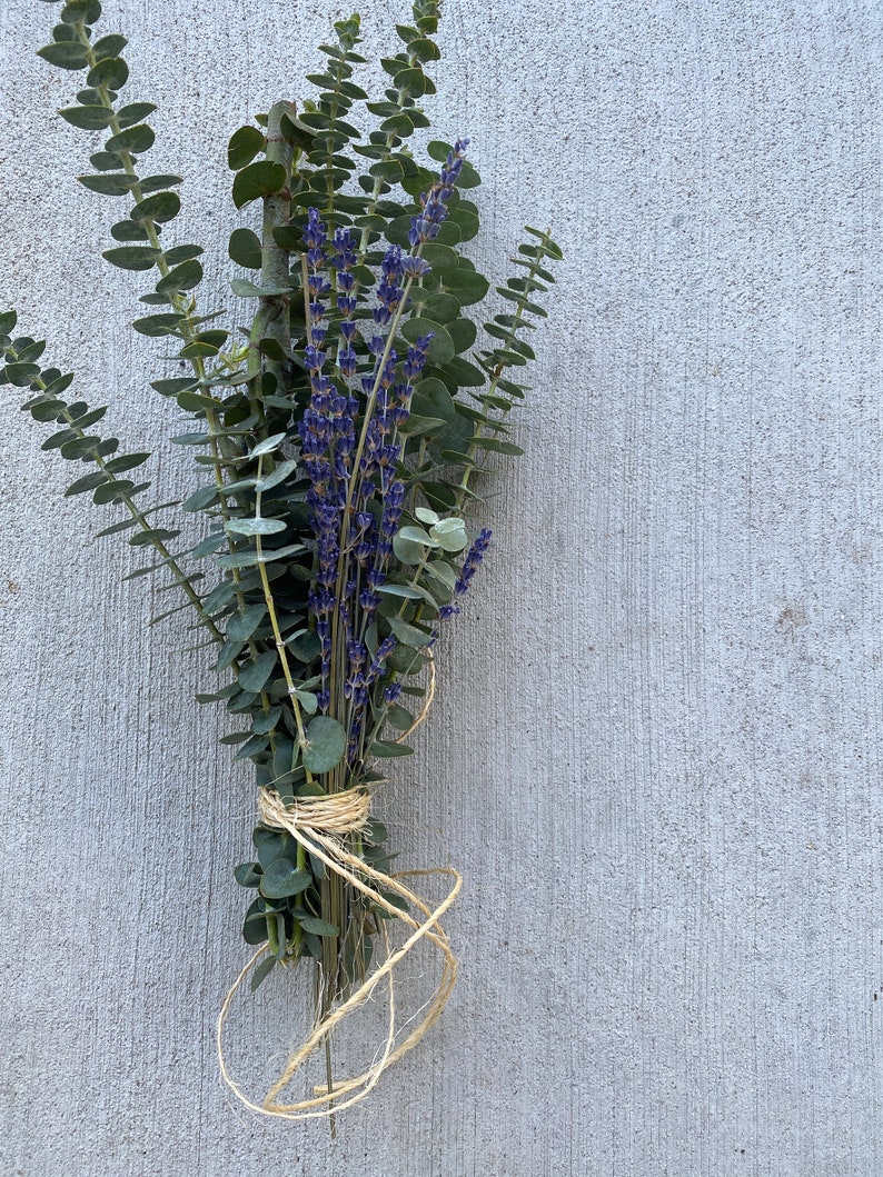 Fresh Lavender Eucalyptus Shower Bundle Eucalyptus Plant Etsy