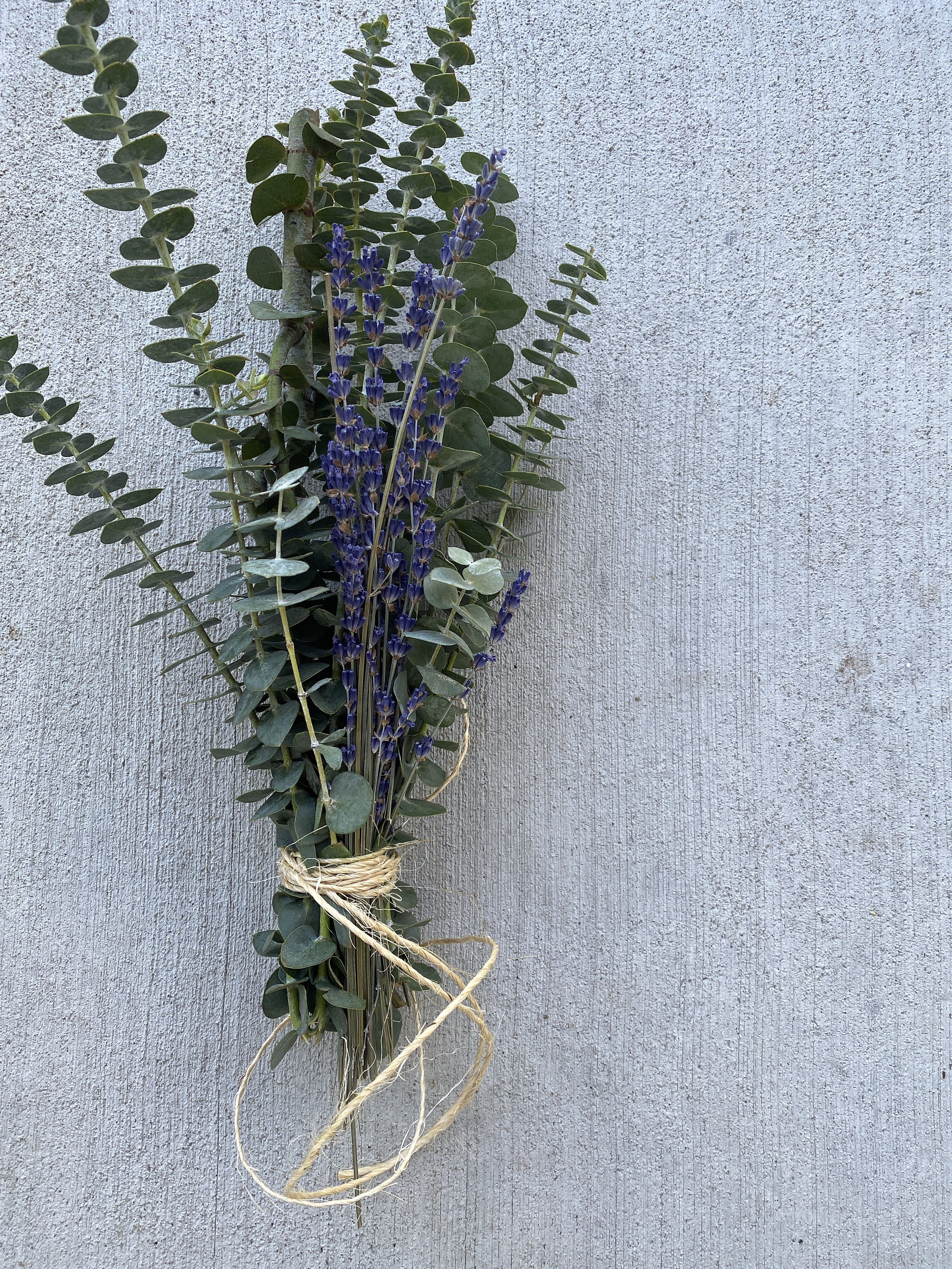 FRESH LAVENDER FLOWERS, Lavender Branches Fragrant Edible Decorative 25  Stems Restaurant Supply Overnight Included 