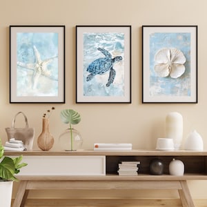 May include: Three framed art prints depicting marine life. One shows a white starfish, another a blue sea turtle, and the third a white shell. The prints are displayed on a light-coloured wall above a wooden console.