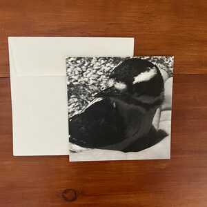 Being Seen || Blank Greeting Card 5” x 5” ||  Pacifica, CA