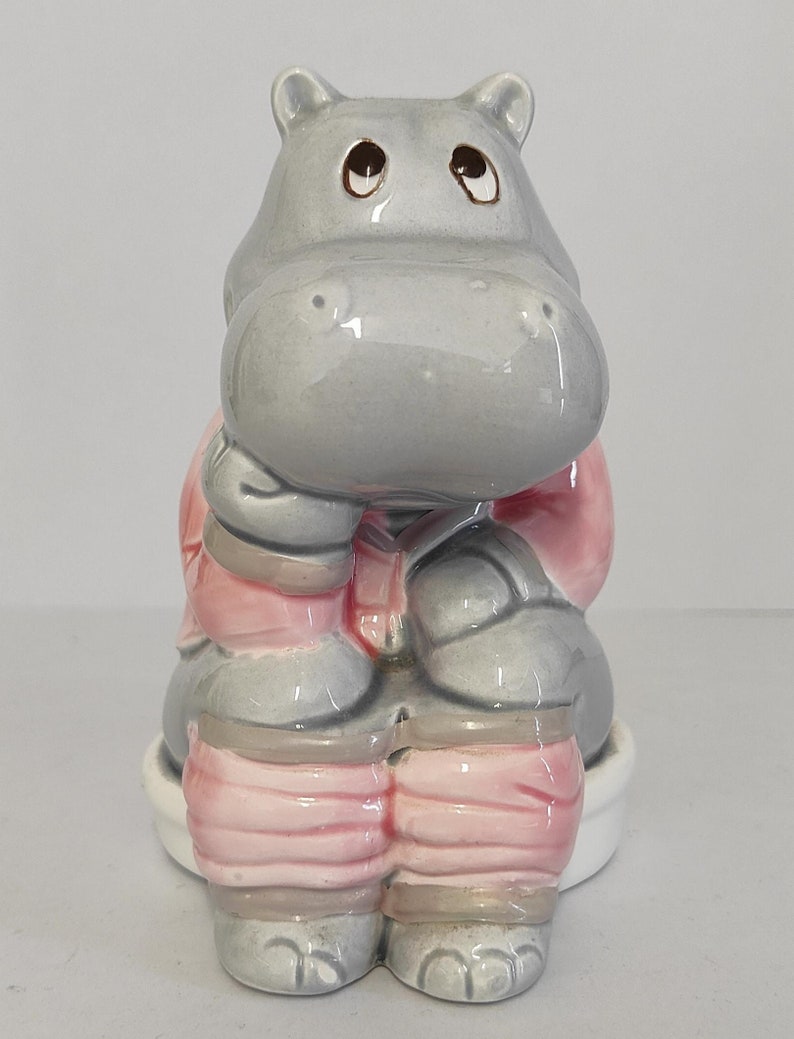 Cute Happy House HIPPO Sitting on the Toilet Money Box 8x10x12cm Etsy