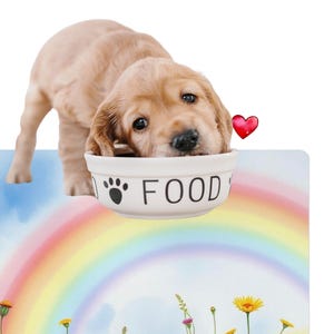 Rainbow Flowers Pet Food Mat: Washable Polyester Placemat