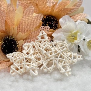 2 piece Star/Heart Wicker chews