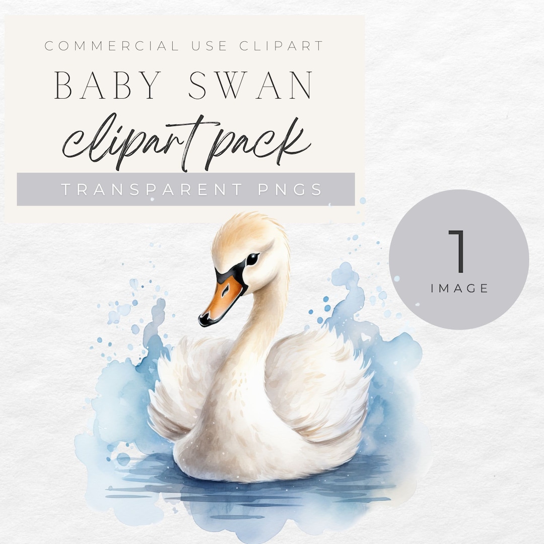 Baby Swan Clipart, Watercolor Nursery Wall Art, Cute Animal Print ...