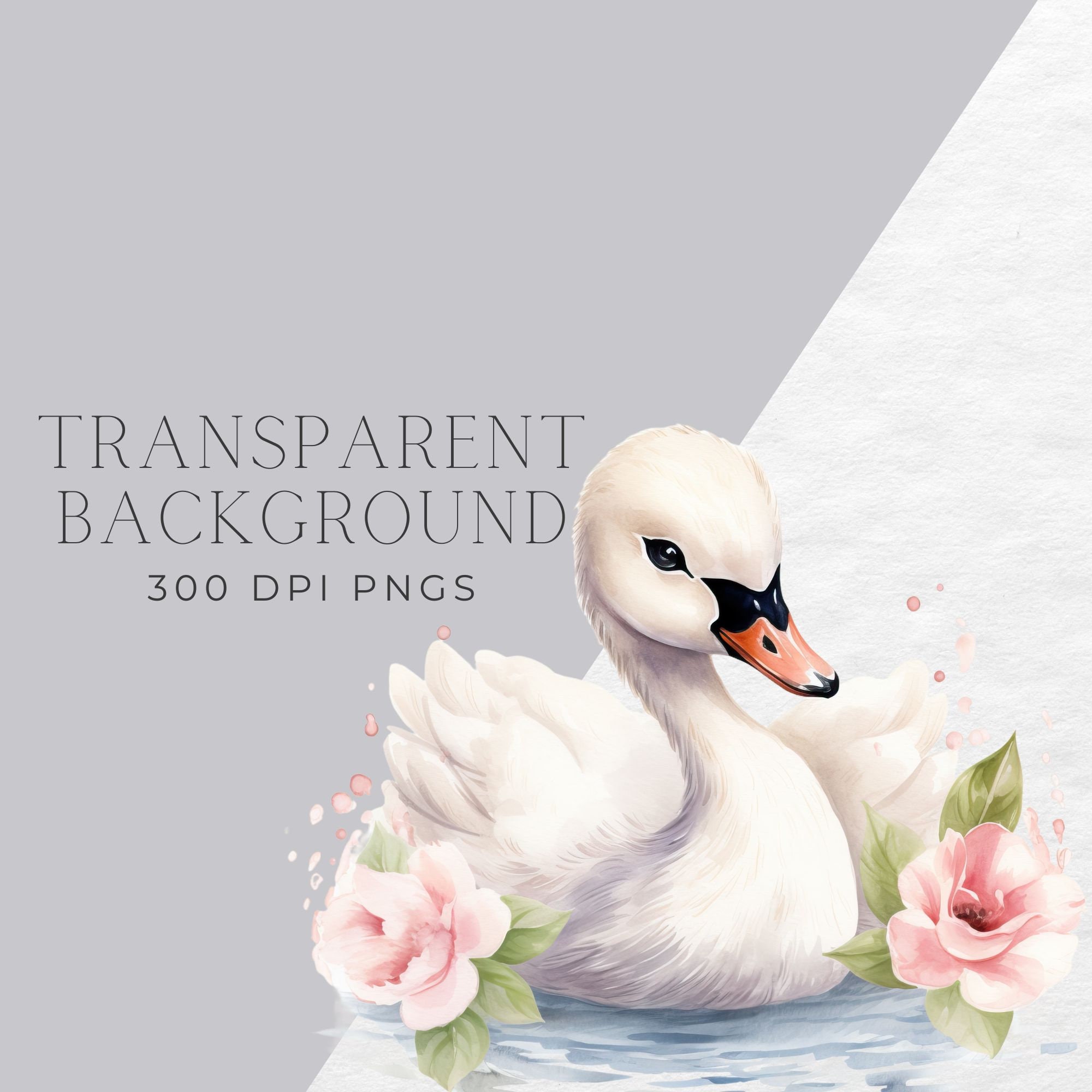 Baby Swan Clipart, Cute Baby Animal Printable Art, Nursery Decor, Baby ...