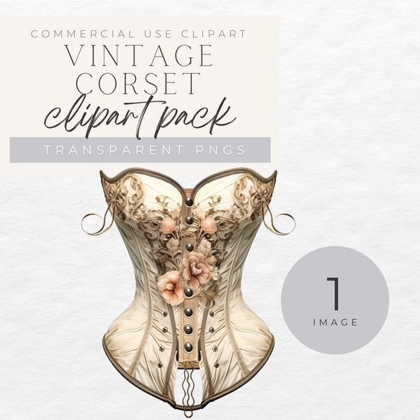 Lingerie Clipart, Corset Clipart, Commercial use,  bachelorette party, bridal shower, junk journal, vintage fussy cuts, fashion girl image,