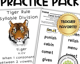 Syllable Division Practice Pack: OG & SOR Aligned Phonics (PDF Printable)