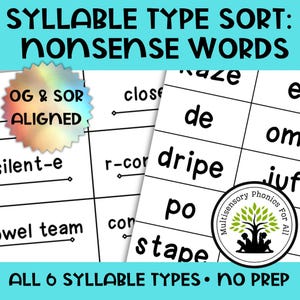 Orton-Gillingham Syllable Sort: Nonsense Words Phonics Activity (PDF Printable)