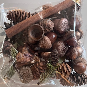 Handcrafted Potpourri vase filler real acorn Woodland Forest Blend