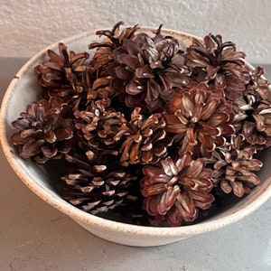 Natural pine cones for crafts weddings wreaths bowl filler home decor