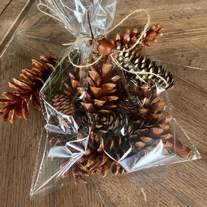 Scented Pine Cones: Natural Holiday Home Fragrance