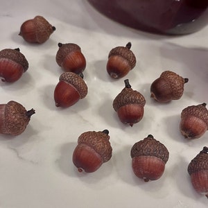 Large Real Acorns-organic Red Oak- Hand Cleaned, heat dried, naturally hand polished and beautiful, crafts, vase fillers, weddings, holidays