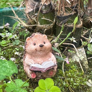 Riccio in miniatura che legge – Decorazione da giardino in resina, regalo per gli amanti dei libri, statuetta di animali del bosco, terrario e miniatura per casa delle bambole
