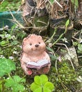 Resin Hedgehog Figurine Reading a Book, 3 cm Miniature product logo