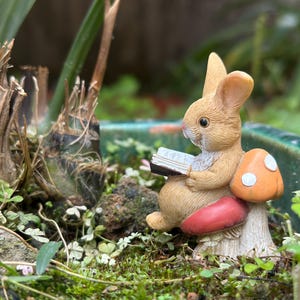 Coniglietto in miniatura che legge su un fungo – Figurina in resina, decorazione per giardino delle fate e terrario, regalo stravagante per gli amanti dei libri