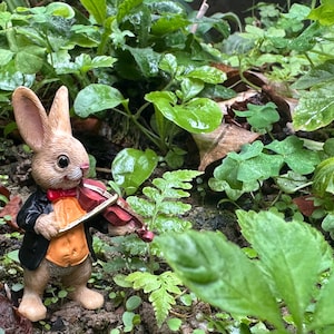 May include: A small, brown rabbit figurine wearing a black jacket and a red bow tie plays a violin in a garden setting.