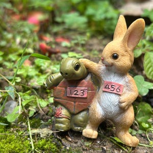May include: A charming figurine of a brown rabbit and a green turtle. The rabbit, with the number "456" on its chest, is playfully touching the turtle's shell, which has the number "123". The figures are set against a backdrop of green foliage.