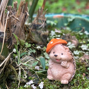 Riccio in miniatura con cappello a fungo – Decorazione da giardino in resina, statuetta di animali del bosco, terrario e miniatura per casa delle bambole