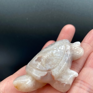 Flower Agate Druzzy Turtle Mini Carving