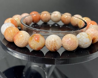 Hochwertiges Coral Jade Fossilien Kristall Armband