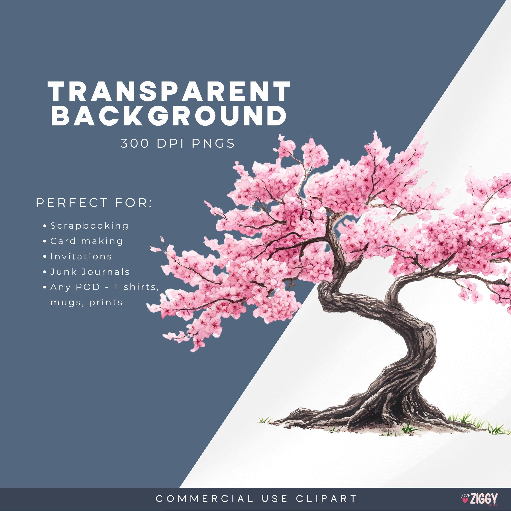 Japanese Cherry Blossom Clipart Pack, Elegant Sakura Branches for ...