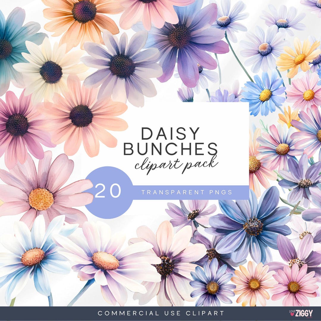 Watercolor Daisy Clipart Bundle – Pastel Spring Flowers (PNG Files) - Etsy