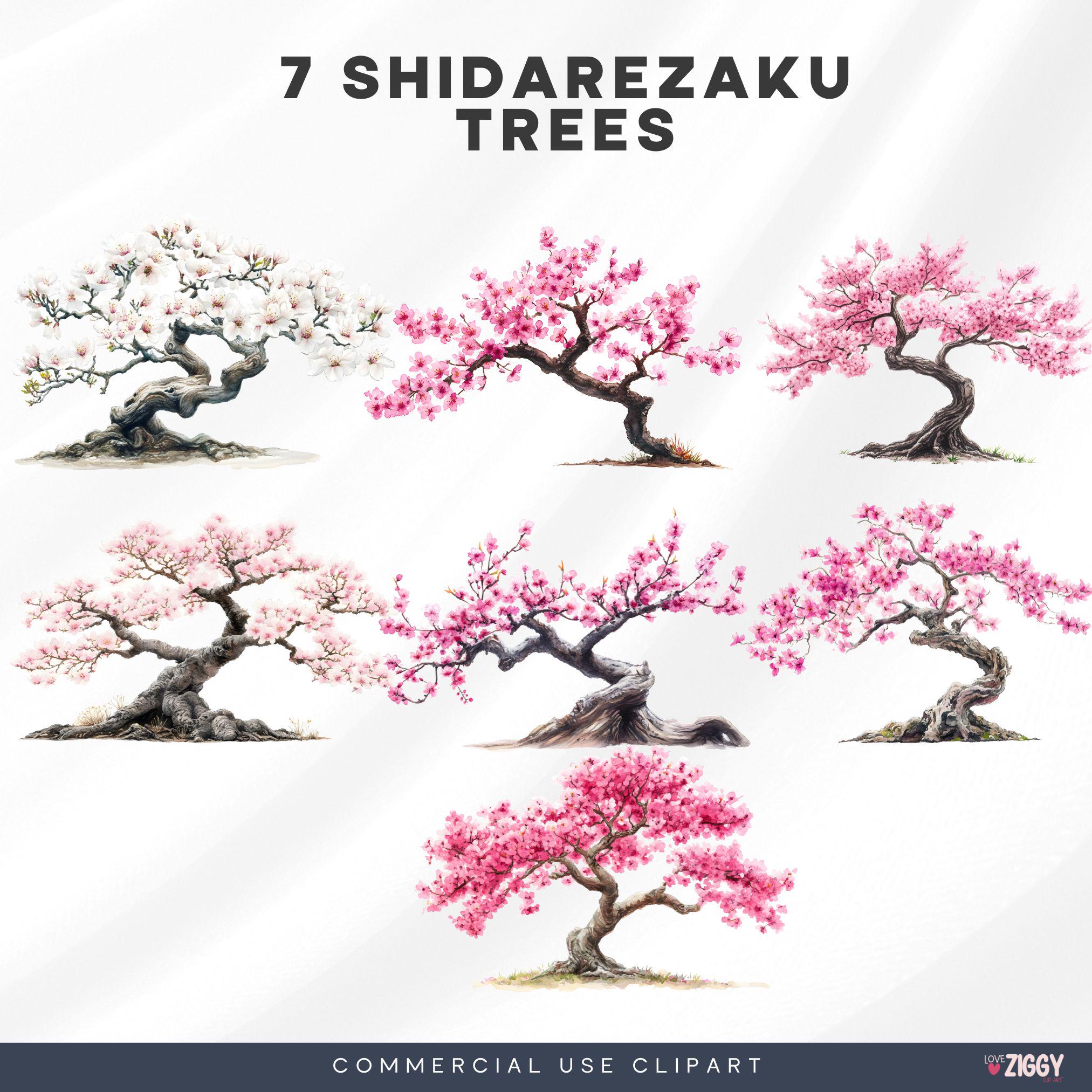 Japanese Cherry Blossom Clipart Pack, Elegant Sakura Branches for ...