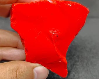 Authentic Italian Red Coral Raw Gemstone | 600.55 Carat Natural Healing Stone