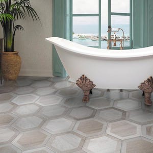 May include: A white clawfoot bathtub with ornate bronze feet sits in a bathroom with hexagon-patterned floor tiles. A large window offers a view of the ocean. A large potted plant is in the corner.