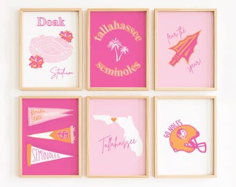 May include: Six pink and orange framed prints with various designs related to Florida State University. The prints include the Doak Stadium, a palm tree, a spear, a map of Florida, pennants, and a football helmet.