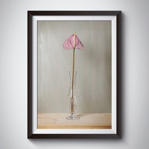 Anthurium palm Print, Bedroom Wall Decor, Flower Photo, Flower Lover, Home Decor, Home Art, Gift for Mother, Digital Download, office Deco
