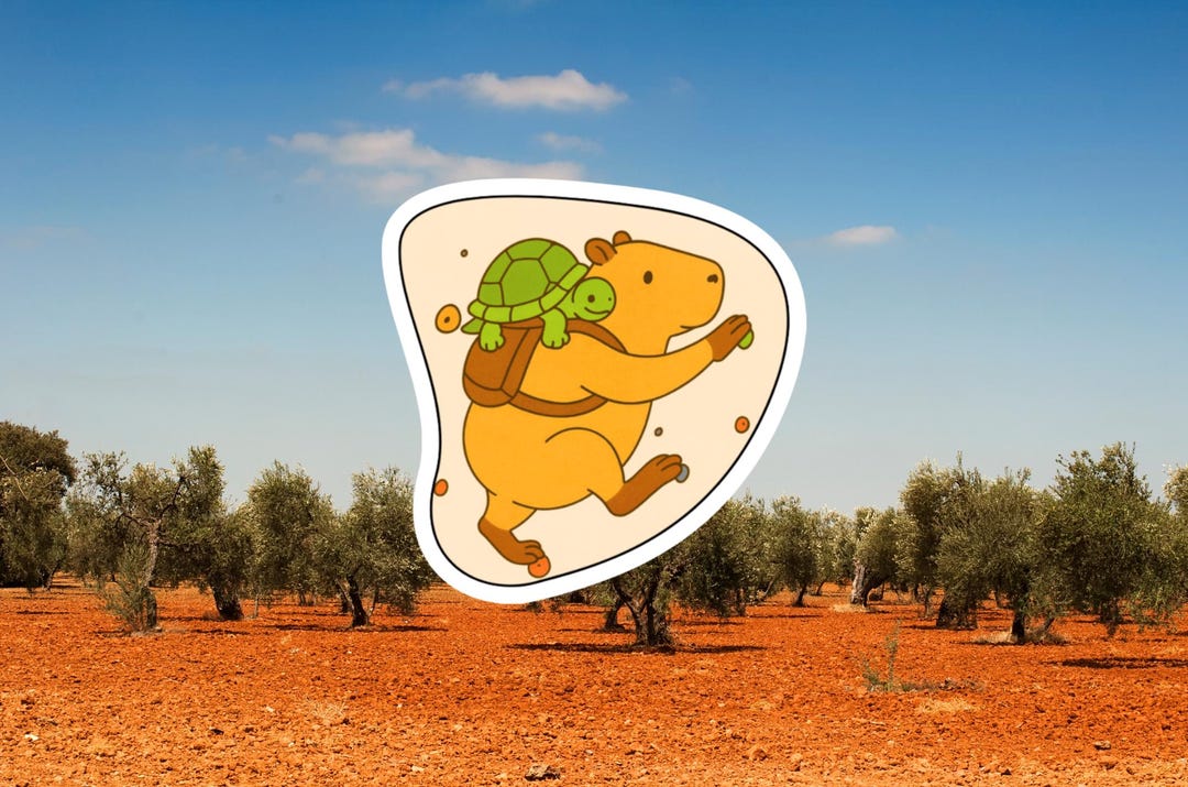 Adri's Capybara | Funny Rock Climbing Sticker - Etsy
