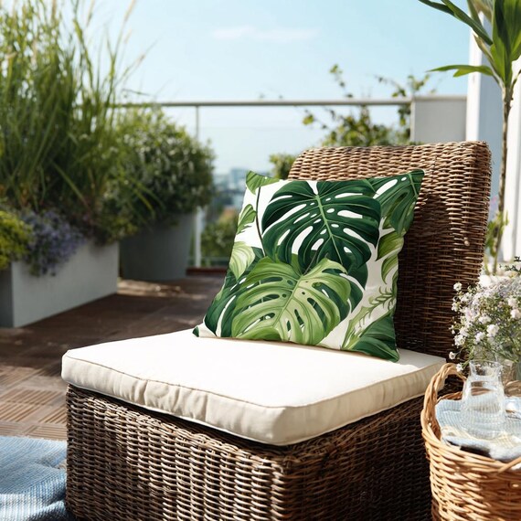 monstera marx flame Monstera Burle Marx Flame XL