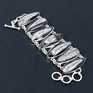 Orthoceras Fossil Bracelet: Handmade 925 Sterling Silver Adjustable Chain